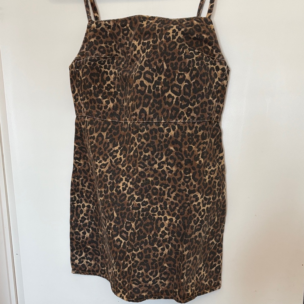 Zara Brown Leopard Print Mini Dress